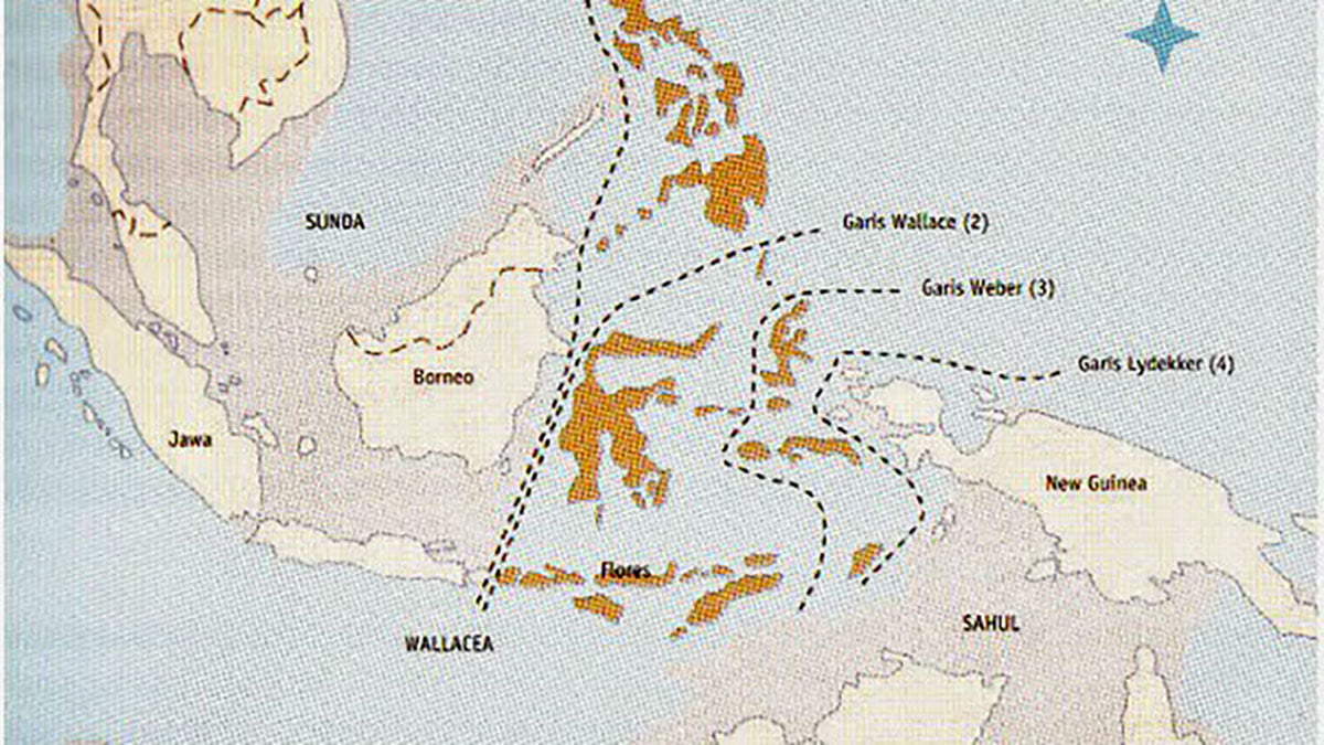 Kondisi geografis pulau indonesia (foto/istimewa)