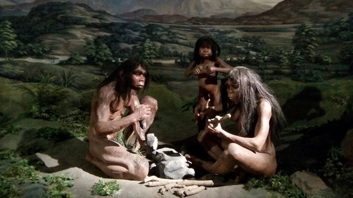 Jenis-jenis Manusia Purba di Indonesia (foto/istimewa)