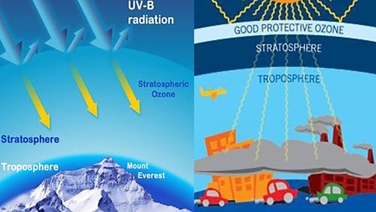 Gambar Lapisan stratosfer ozon sangat bermanfaat bagi kehidupan di bumi (ft/istimewa)