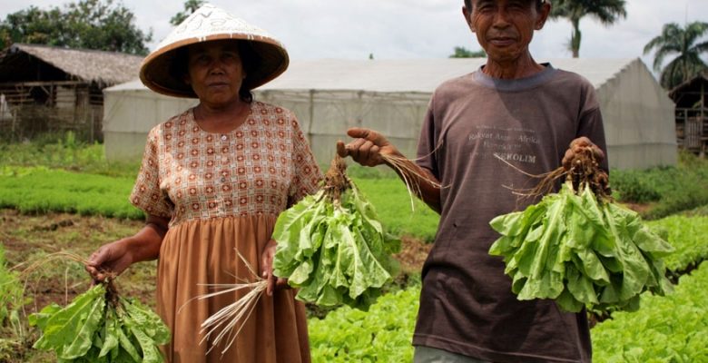 Penguatan Agrikultur di Indonesia
