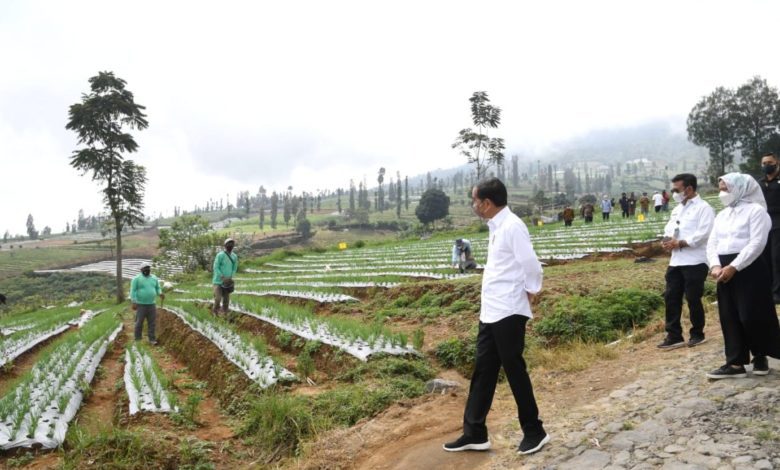 Ringkasan Masyarakat adalah kumpulan orang; sudah terbentuk lama; sudah memiliki sistem sosial atau struktur sosial tersendiri