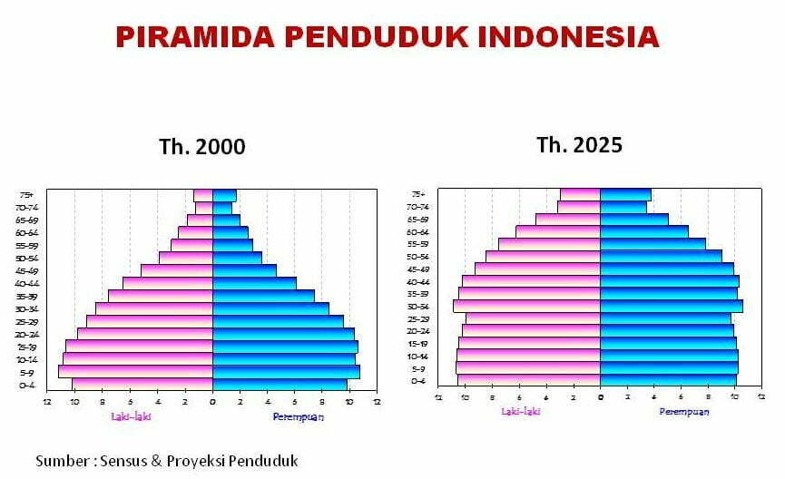 Kepadatan Penduduk Densitas Penduduk Di Indonesia 0394