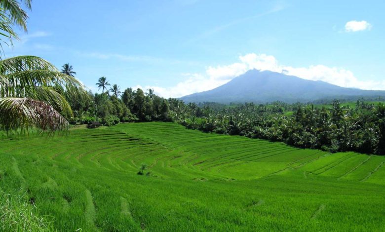 Pengelolaan Sumberdaya Alam bagi kehidupan manusia