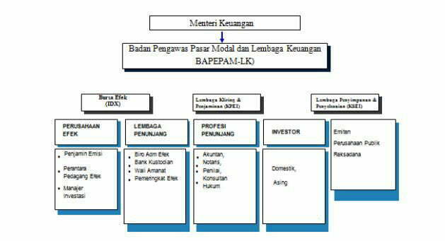 Gambar. Struktur Pasar Modal Indonesia (foto/istimewa)