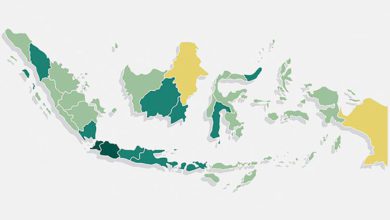 Kondisi geografis pulau indonesia (foto/istimewa)