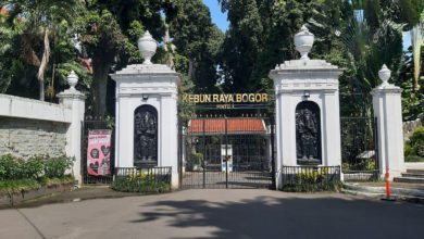 Kebun Raya Bogor didirikan pada tahun 1817 (ft/istimewa)