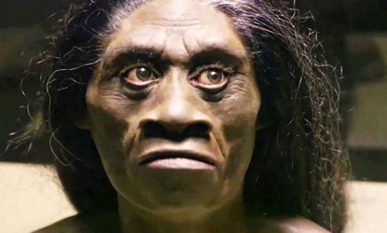 Manusia Wajak (Homo wajakensis) dan sebarannya di Indonesia (foto/istimewa)