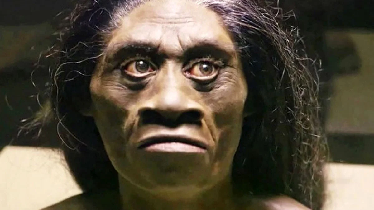 Manusia Wajak (Homo wajakensis) dan sebarannya di Indonesia (foto/istimewa)