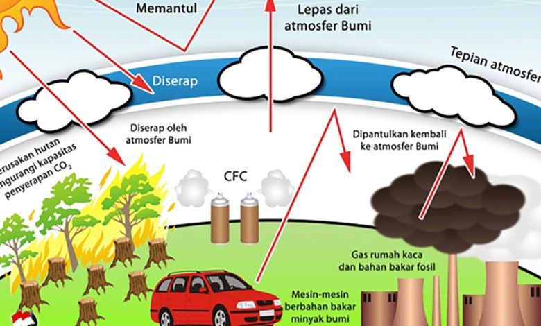 Efek rumah kaca dan pemanasan global kelas 7 (ft/istimewa)