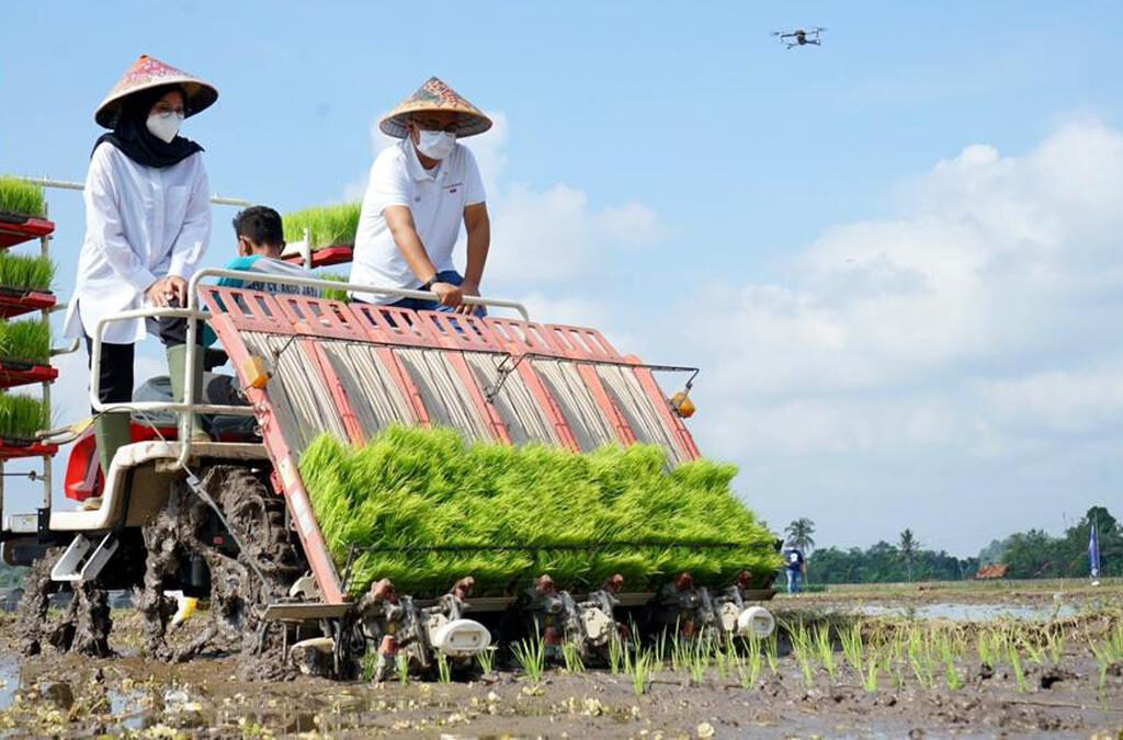 Potensi Sumber Daya Alam Indonesia: Kekayaan Tanah Air yang Tak Tergantikan (ft/istimewa)