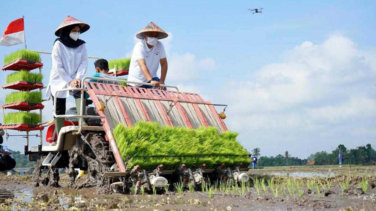 Potensi Sumber Daya Alam Indonesia: Kekayaan Tanah Air yang Tak Tergantikan (ft/istimewa)