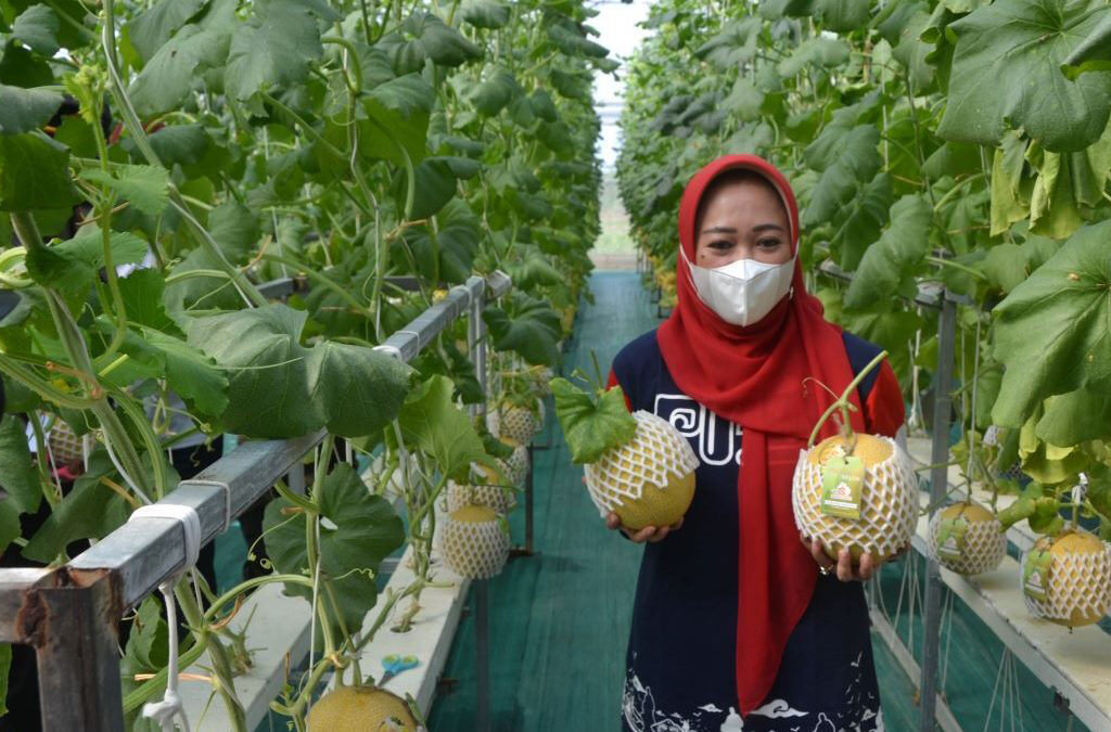 Menggunakan Teknologi yang Tepat Guna: Solusi Menuju Pembangunan Berkelanjutan (ft/istimewa)