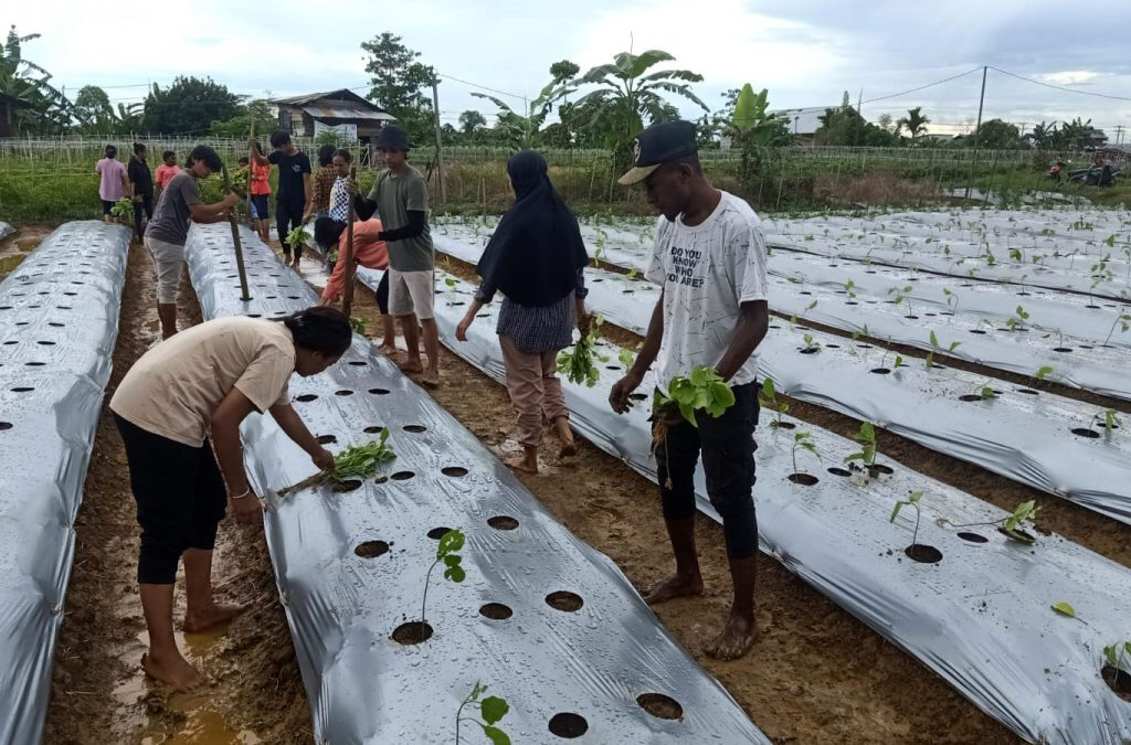 Melihat Potensi Sumber Daya Alam Indonesia: Keberlimpahan yang Menciptakan Peluang Berkelanjutan (ft/istimewa)