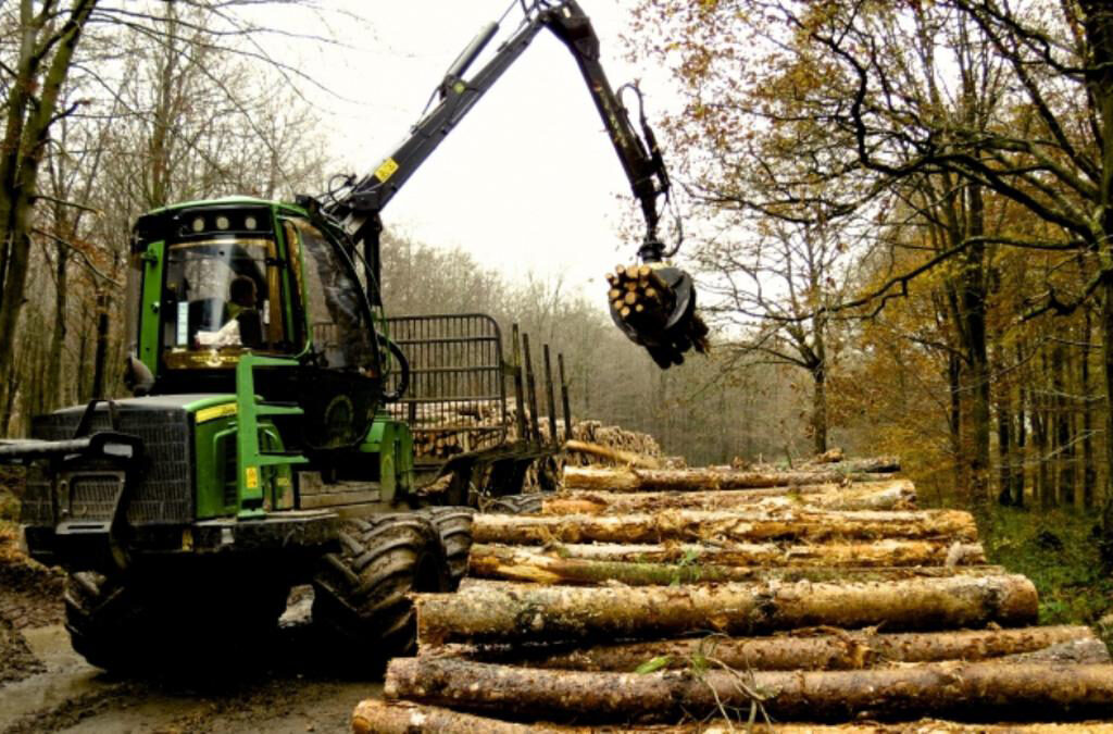 Hutan Produksi Indonesia: Menjaga Keseimbangan antara Ekonomi dan Lingkungan (ft/istimewa)