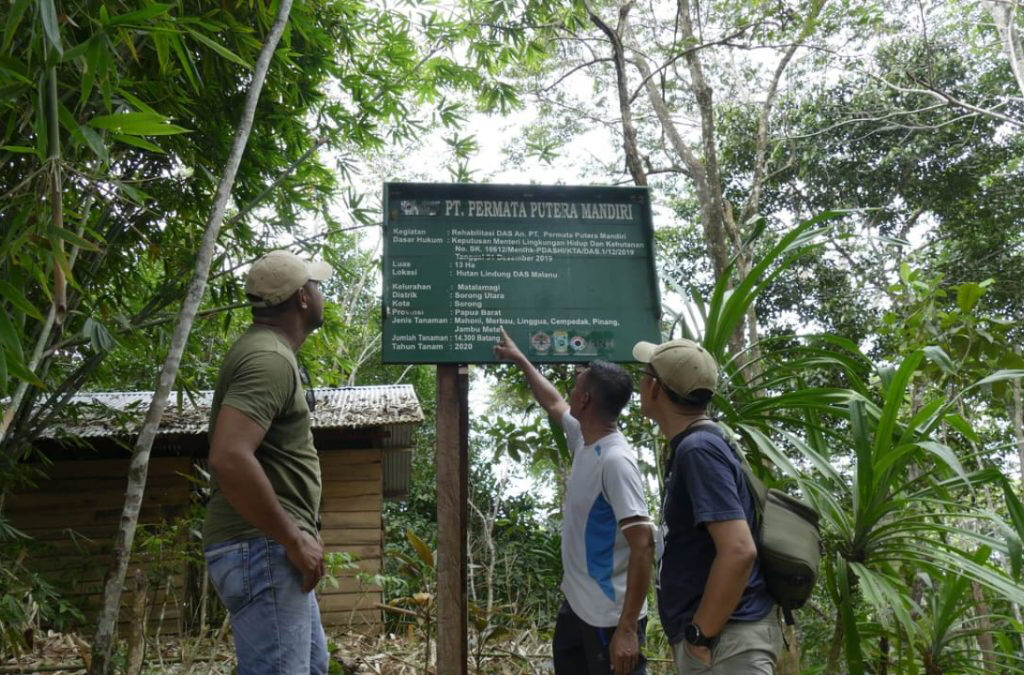 Hutan Lindung: Penjaga Kehidupan dan Keanekaragaman Alam di Indonesia (ft/istimewa)