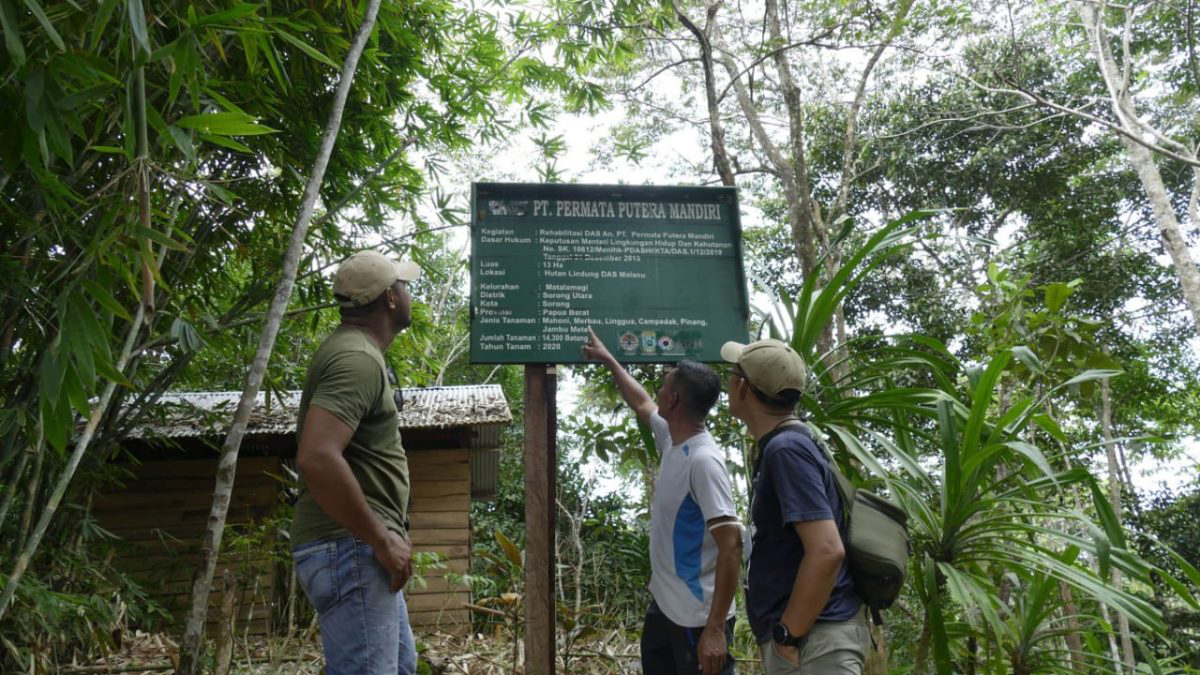 Hutan Lindung: Penjaga Kehidupan dan Keanekaragaman Alam di Indonesia (ft/istimewa)