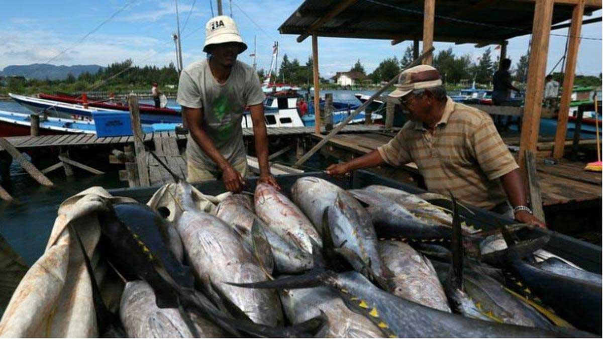 Sumber Daya Alam Kemaritiman: Keberlimpahan dan Tantangan dalam Perikanan (ft/istimewa)