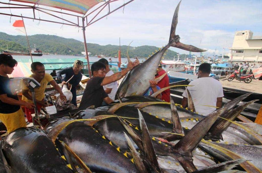 Sumber Daya Alam Kemaritiman: Keberlimpahan dan Tantangan dalam Perikanan (ft/istimewa)