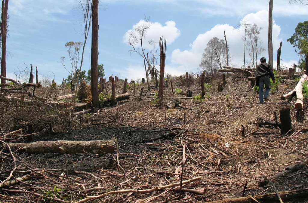 Penyebab Perubahan Potensi Sumber Daya Alam: Menggali Akar Tantangan Keberlanjutan (ft/istimewa)