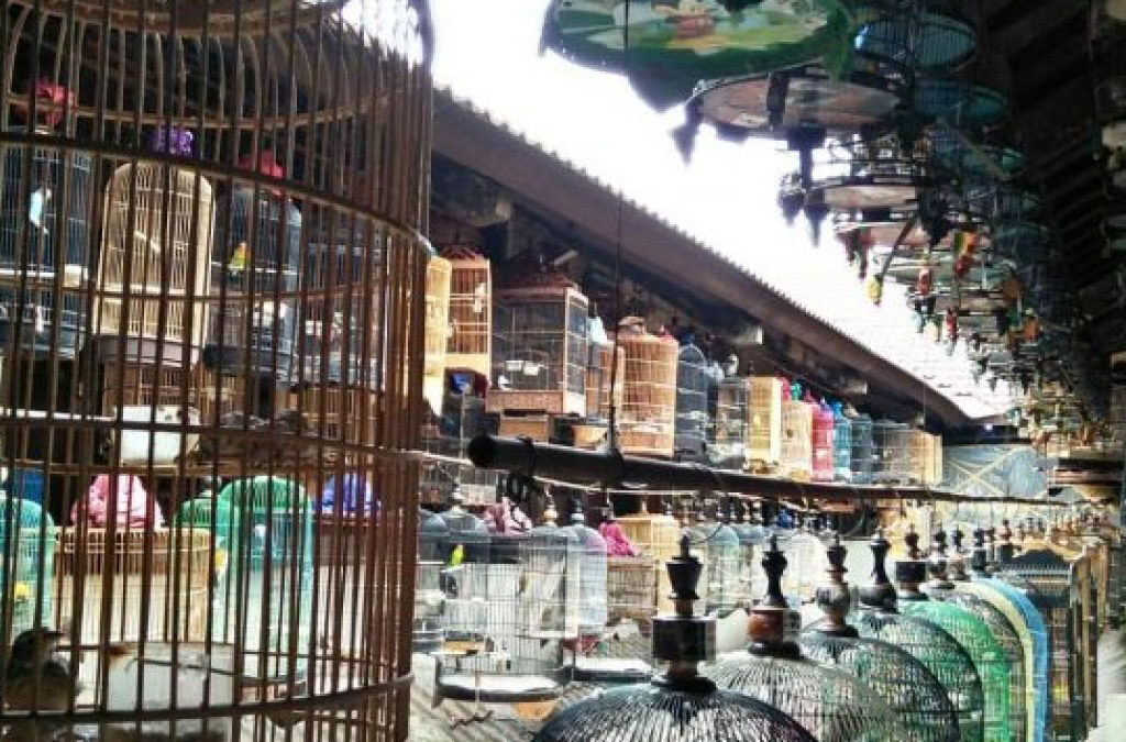 Pasar Menurut Waktu Bertemunya Penjual dan Pembeli: Membahas Jenis-Jenis Pasar yang Berbeda (ft/istimewa)