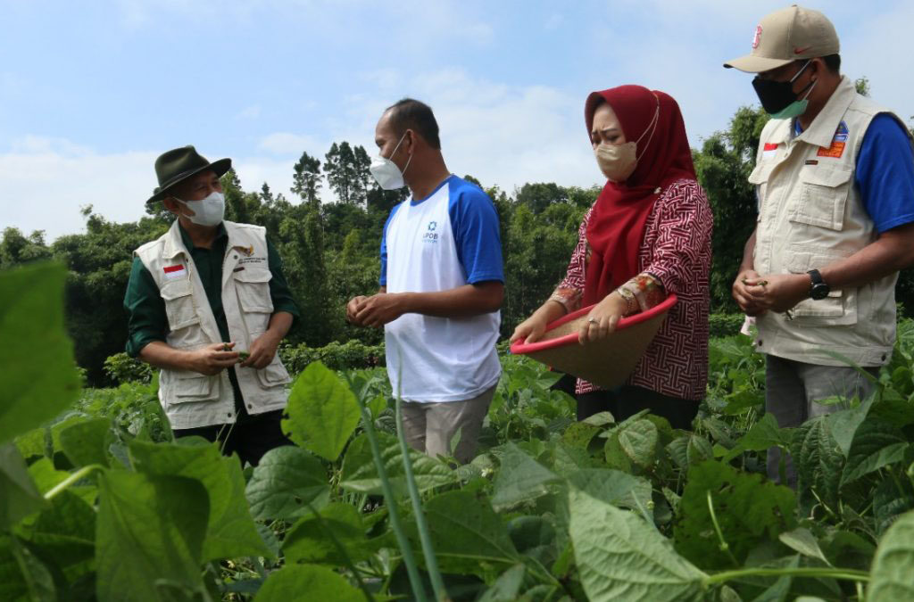 Peran Sosial: Menyelami Dinamika Interaksi Manusia dalam Masyarakat (ft/istimewa)