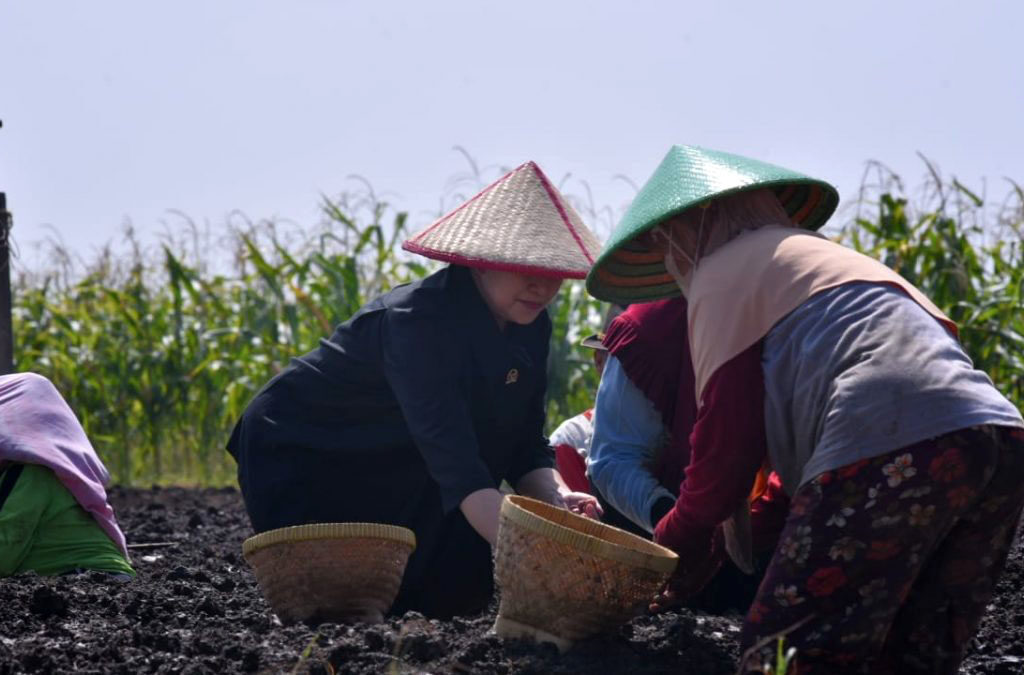 Faktor Geografis yang Membentuk Keragaman Budaya: Peta Identitas Manusia (ft/istimewa)