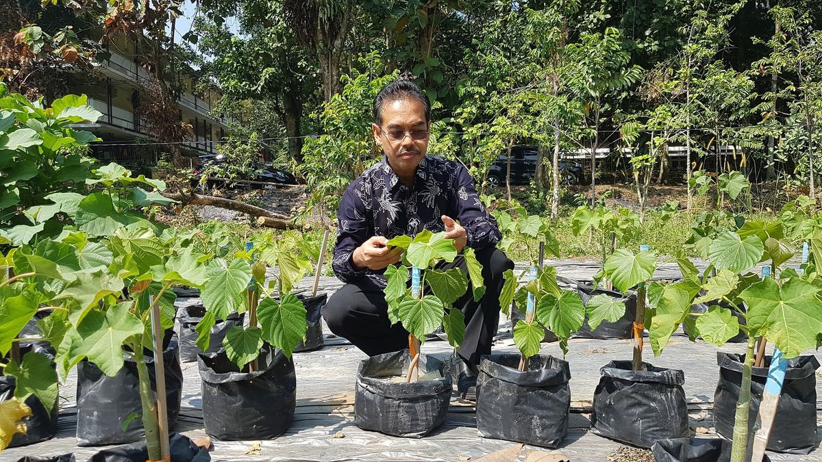 Pemberdayaan Masyarakat: Membangun Keberlanjutan dan Kemandirian (ft/istimewa)