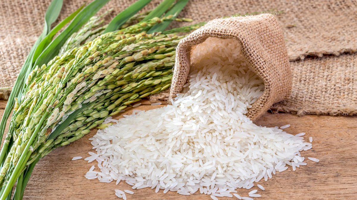 BARANG SETENGAH JADI DAN CONTOHNYA: TAHAPAN MENENTUKAN KUALITAS PRODUK AKHIR