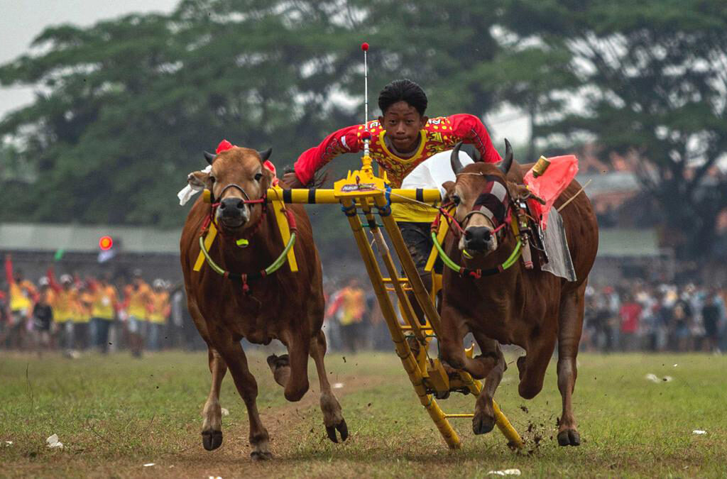 Interaksi Sosial Asosiatif Akulturasi Kebudayaan: Menggabungkan Nilai-Nilai dalam Perubahan Budaya (ft/istimewa)