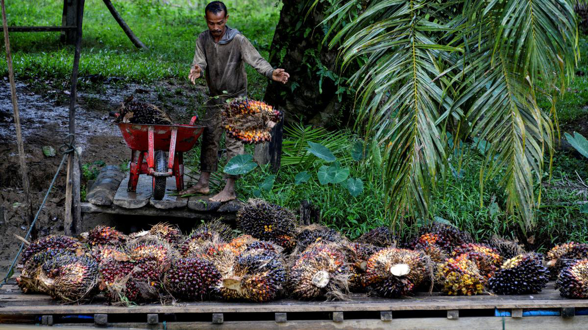 Perekonomian Malaysia: Keanekaragaman dan Pertumbuhan Berkelanjutan (ft/istimewa)