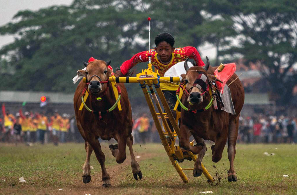 Tradisi Madura: Kearifan Lokal dan Budaya yang Kaya (ft/istimewa)