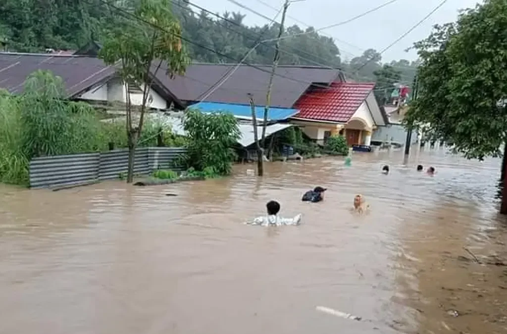 Dampak Bencana Alam Akibat Hujan: Tantangan dan Upaya Mitigasi (ft/istimewa)