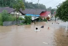 Dampak Bencana Alam Akibat Hujan: Tantangan dan Upaya Mitigasi (ft/istimewa)