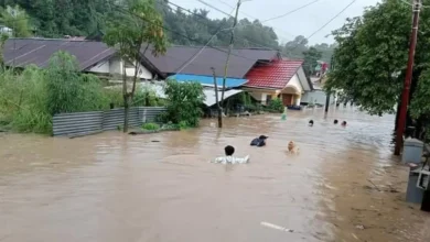 Dampak Bencana Alam Akibat Hujan: Tantangan dan Upaya Mitigasi (ft/istimewa)