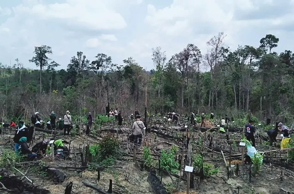 Hutan Produksi: Sumber Daya Ekonomi dan Kelestarian Alam (ft/istimewa)