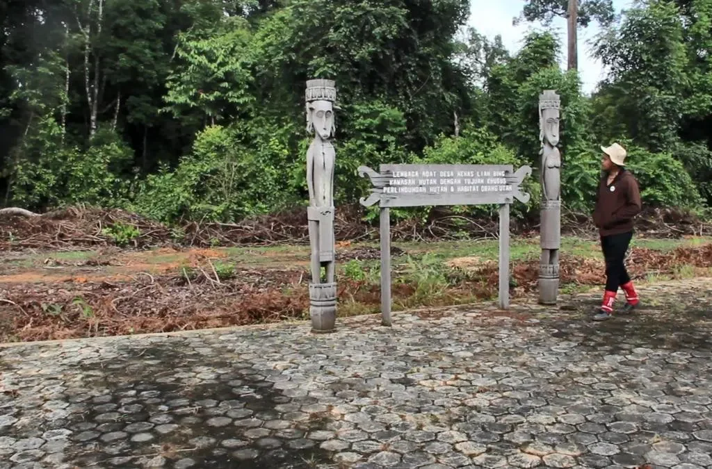 Hutan Lindung: Penjaga Ekosistem dan Kehidupan (ft/istimewa)