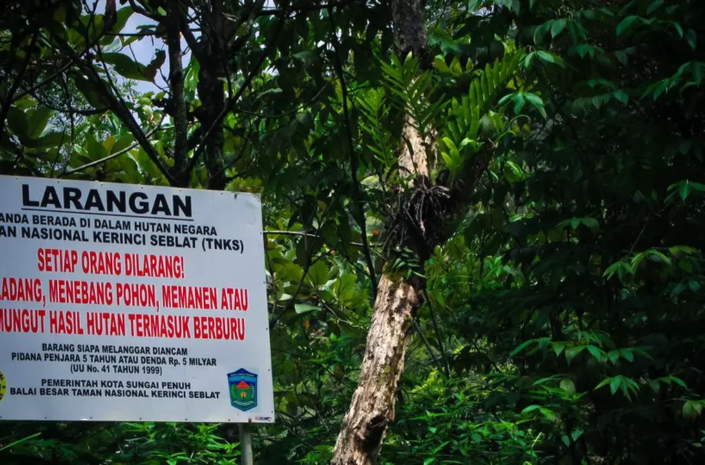 Hutan Konservasi: Penjaga Keanekaragaman Hayati dan Ekosistem (ft/istimewa)