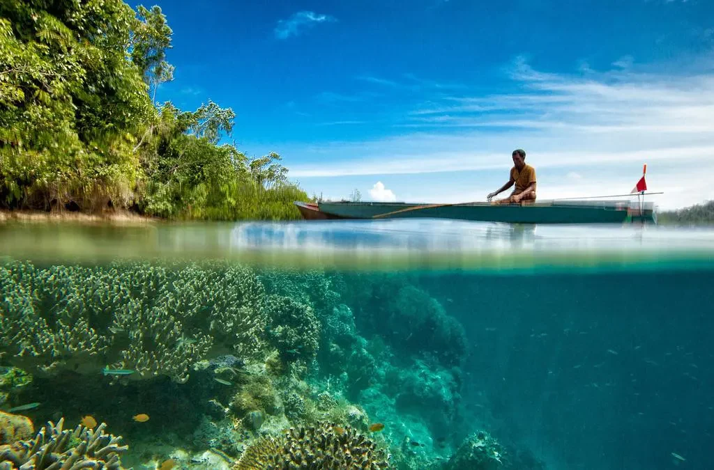 Keragaman Alam Indonesia: Keajaiban di Setiap Pulau (ft/istimewa)