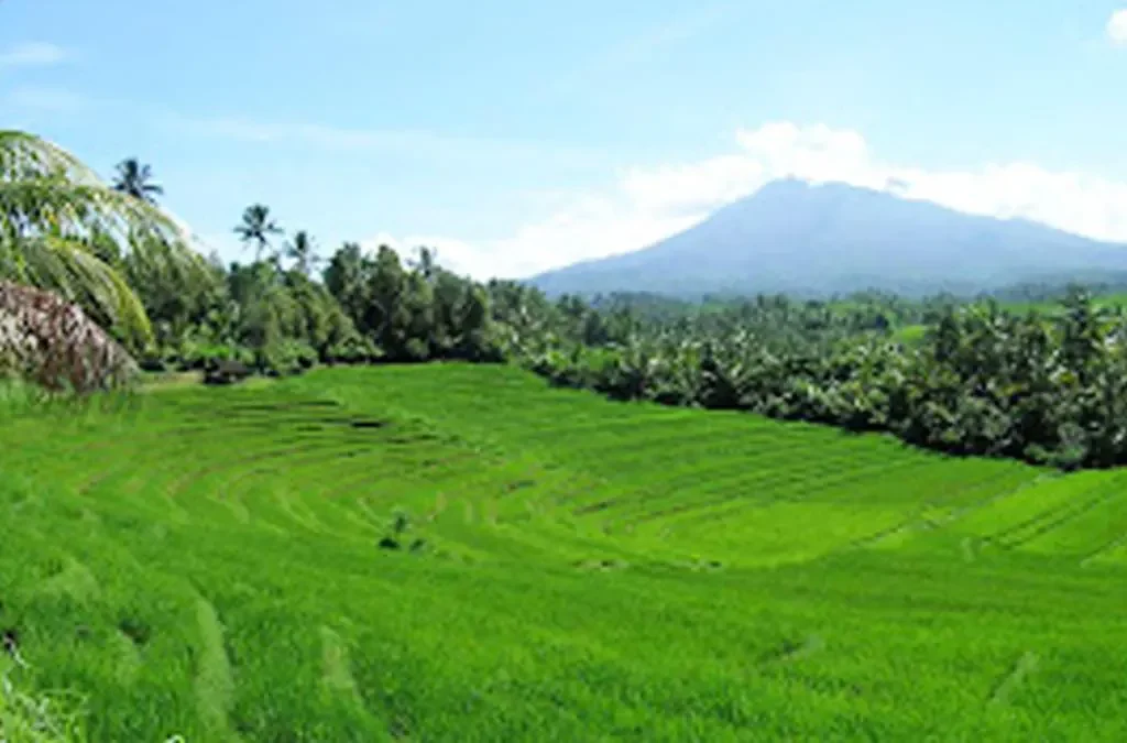 Bagaimana Proses Geografis Memengaruhi Keragaman Alam Indonesia? (ft/istimewa)