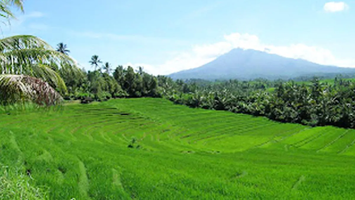 Bagaimana Proses Geografis Memengaruhi Keragaman Alam Indonesia? (ft/istimewa)