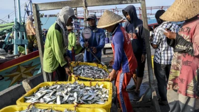 Bentuk-Bentuk Kegiatan Ekonomi Masyarakat Indonesia dan Contoh Nyata dalam Kehidupan (ft/istimewa)