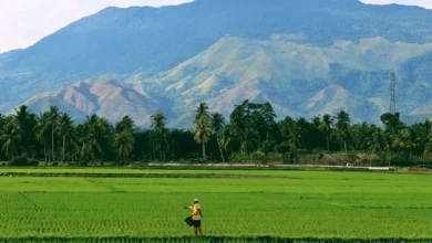 Barang Mentah yang Biasa Dimanfaatkan dalam Pemenuhan Kebutuhan Ekonomi (ft/istimewa)