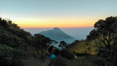 Pentingnya Menjaga Kelestarian Alam dalam Pemanfaatan Lingkungan Sekitar (ft/istimewa)