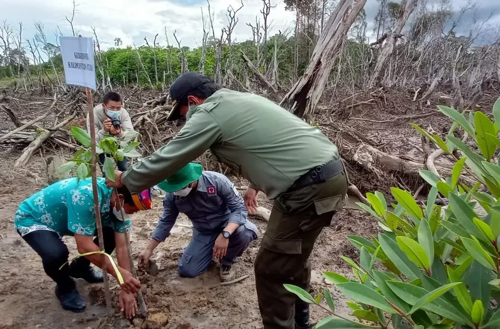 Pelestarian Lingkungan untuk Generasi Mendatang: Pentingnya Tindakan Kita Hari Ini (ft/istimewa)