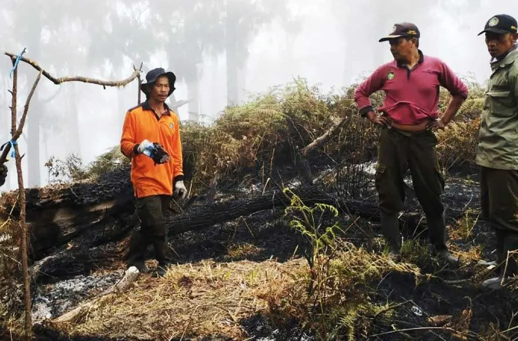 Lindungi Hutan Sebagai Potensi Negara: Mengapa Hutan Penting untuk Masa Depan Kita (ft/istimewa)