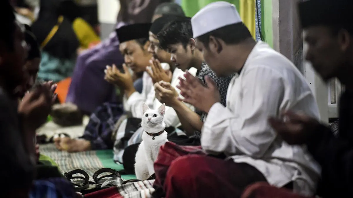 Contoh Akulturasi Budaya Islam di Indonesia (ft/istimewa)