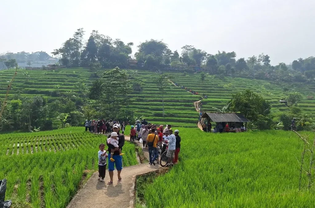 Potensi Sumber Daya Alam Daerah di Indonesia: Keanekaragaman dan Peranannya dalam Perekonomian Nasional (ft/istimewa)