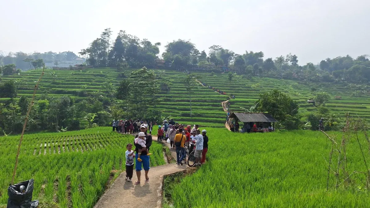 Potensi Sumber Daya Alam Daerah di Indonesia: Keanekaragaman dan Peranannya dalam Perekonomian Nasional