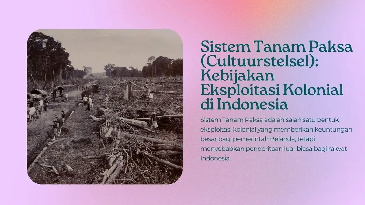 Sistem Tanam Paksa (Cultuurstelsel): Kebijakan Eksploitasi Kolonial di Indonesia