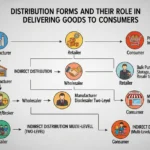 Perbedaan Tiga Bentuk Distribusi dan Peranannya dalam Menyalurkan Barang ke Konsumen (ft.istimewa)